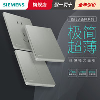西门子 荟绎 接线开关面板 五孔 银灰色弹力漆