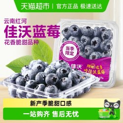 佳沃 秘鲁蓝莓大果礼盒装125g/盒*4