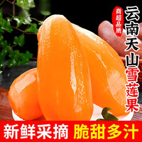 甜果源 云南天山雪莲果 4.5-5斤 大果红泥沙雪莲果