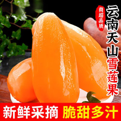 甜果源 云南天山雪莲果 4.5-5斤 大果红泥沙雪莲果