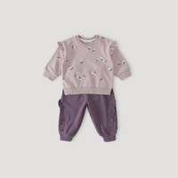 巴厘小猪 女宝宝套装春秋季儿童甜美可爱花边两件套婴幼儿分体衣服女童秋装 冒险小灰兔 80