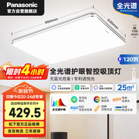 移动端、京东百亿补贴：Panasonic 吸顶灯 120瓦 5500lm 银边简约