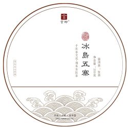 言印 普洱茶生茶饼