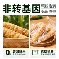 天猫超市 云南花糯玉米 软糯香甜 800g 袋装