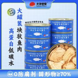 大洋世家 油浸金枪鱼罐头即食鱼肉寿司食材 185g10罐
