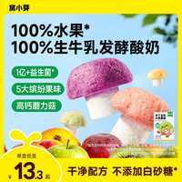 窝小芽 冻干多彩水果蘑菇零食高钙益生菌儿童食品无添加白砂糖SC