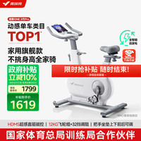 麦瑞克 动感单车家用智能自发电器材室内自行车绝影ONE2代 MR-S10W4 2代Pro版-12KG超感强磁控-自发电