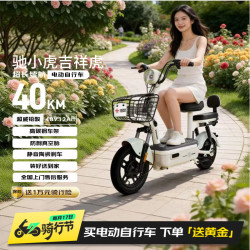 驰小虎 长续航 电动自行车 铅酸电池