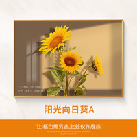  AIFENGGE/艾风格 现代简约 装饰画 50*70 升级PS框纹理膜(外框备注)