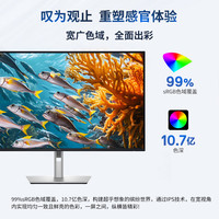戴尔 31.5英寸4K办公显示器 100Hz IPS Type-C 90W反向充电 防蓝光 旋转升 P3225QE