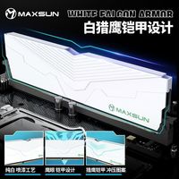 MAXSUN/铭瑄 双通道 内存条