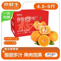 京鲜生 源头直发 耙耙柑  包装 纸箱 2.25kg