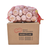 果玥 干大蒜