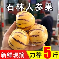 福月安 云南圆果 1斤 小果