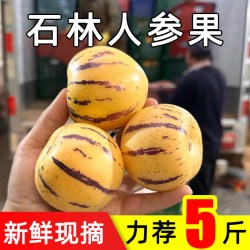 福月安 云南圆果 1斤 小果