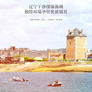  福東海 海鲜干货 干贝