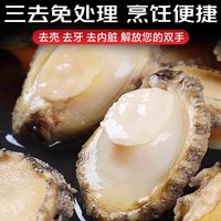 海仙部落 特大纯肉 鲍鱼肉