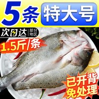 渔游记 Fish Tour 渔游记 中国大陆 海鲈鱼 400-500g/条 冷冻