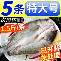 渔游记 Fish Tour 渔游记 中国大陆 海鲈鱼 400-500g/条 冷冻