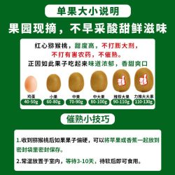 农锦鲜 四川 红心猕猴桃 30枚 大果