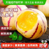 寻天果蔬 云南昆明圆果人参果 90g以下/90g以上 0.9斤/2.7斤/4.5斤