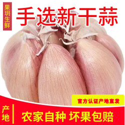 果玥 GuoYue 果玥 河南鲜蒜 500g