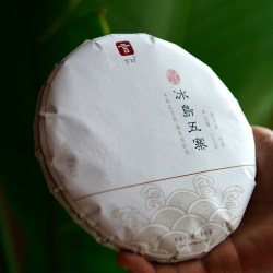言印 普洱茶生茶饼