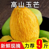 福月安 云南 玉文芒果 中果 0.5斤