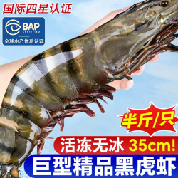 卖鱼郎先生 黑虎虾鲜活速冻超大老虎虾特大对虾基围虾鲜虾海虾冷冻竹斑九节虾