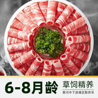  雨轩 原切 羊肉卷 500g