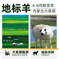  Grand Farm/大庄园 内蒙古臻选牧场 羔羊羊排
