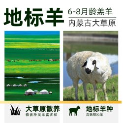 大庄园 内蒙古臻选牧场 羔羊羊排