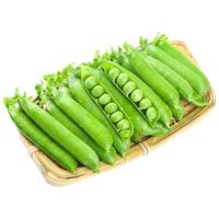 福月安 新鲜现摘 青豌豆角