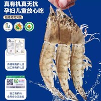 88VIP：海仙部落 有机无抗 盐田虾