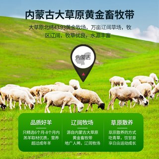  皇家大牧 新鲜 羊肉
