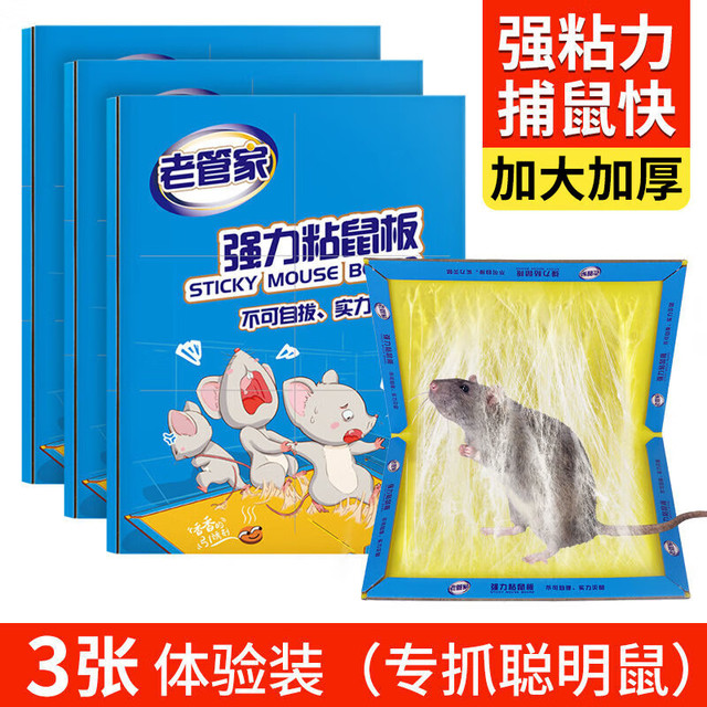 老管家 老鼠贴超强力大老鼠粘贴代替杀灭老鼠药引诱捕鼠器老鼠夹 3张装