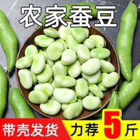福月安 云南胡豆新鲜现摘带壳蚕豆当季农家蔬菜毛豆青罗汉豆兰花佛南豆