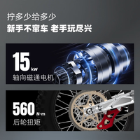 APOLLO/阿波罗镜片 进阶强稳轻快 两轮电动越野摩托车