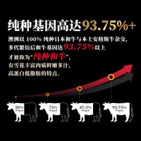  Mr.Meat/肉管家 澳洲原切谷饲 和牛肥牛片