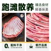  天猫超市 原切 羊排
