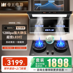 帝王洁具 帝王顶侧双吸油烟机家用自清洁超大吸力烟机灶具套装
