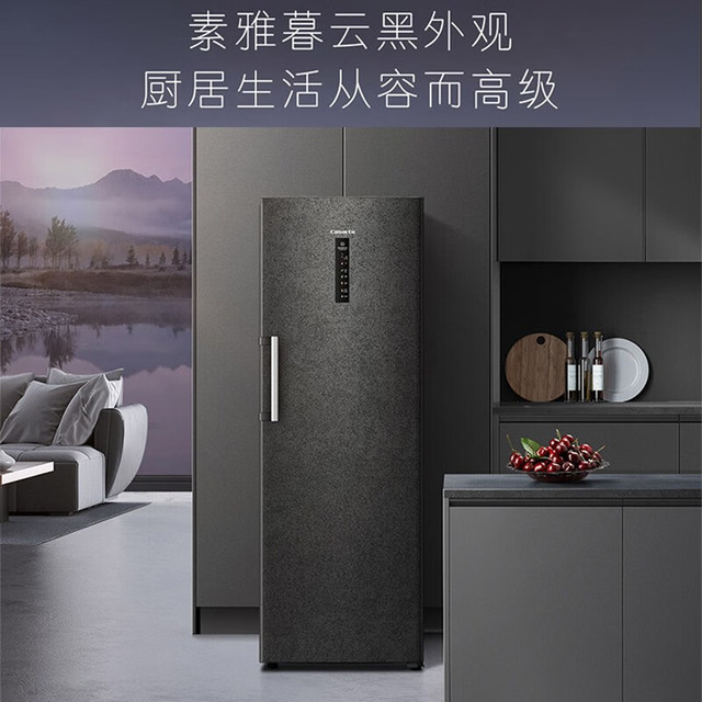 卡萨帝 原始系列 BD-285WGCERU1 冰柜 285L 暮云黑