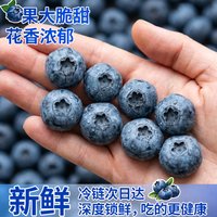 肆友 蓝莓新鲜水果孕妇水果超大果云南L25脆甜花香蓝莓顺丰包邮*2盒