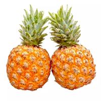 正宗 海南 树上熟 芒果凤梨 2.7斤（1-2个） 顺丰