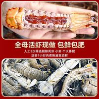  缤鲜 鲜活 皮皮虾 15-18cm 1000g