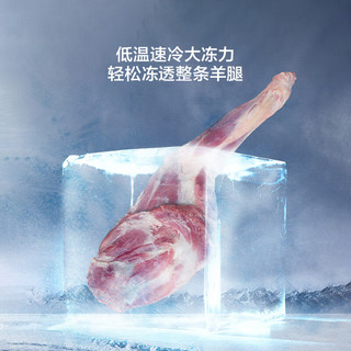  Hisense/海信 一级能效 冰柜