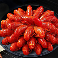 今锦上 小龙虾整虾调制加热即食中号800g*2盒4-6钱麻辣蒜蓉各一