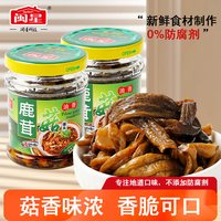 闽星 油焖鹿茸菇罐头 140g 瓶装