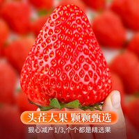  BERRY BRIGADE/莓旅 甜嫩多汁 草莓 1000g 大果（单果20-30g）(【❤人气！！】)