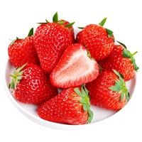  BERRY BRIGADE/莓旅 甜嫩多汁 草莓